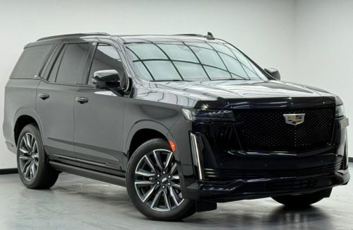 WhatsApp-Image-2025-12-03-at-11.50.48-AM