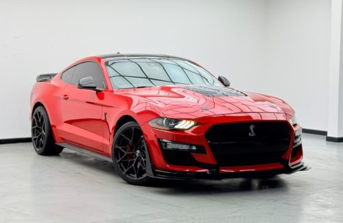 WhatsApp-Image-2026-09-24-at-7.31.00-PM