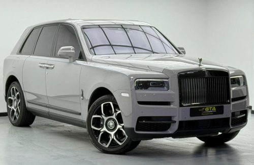 croppedImage_1762412704905_575