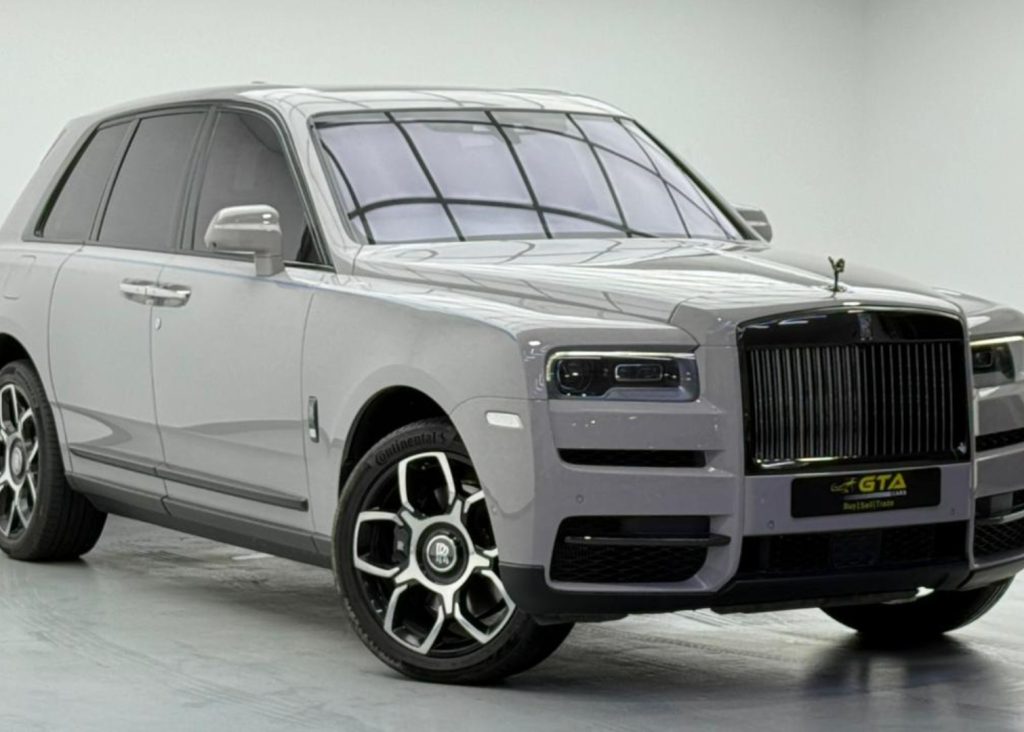 croppedImage_1762412704905_575