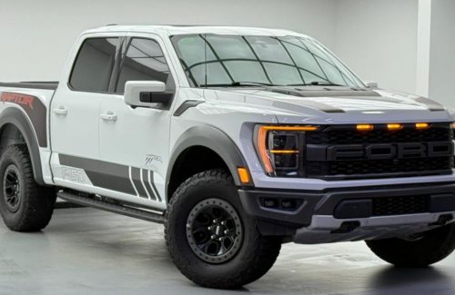 croppedImage_1762420390904_164