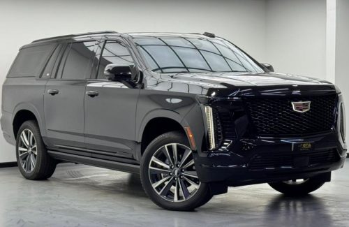 croppedImage_1764852344595_146