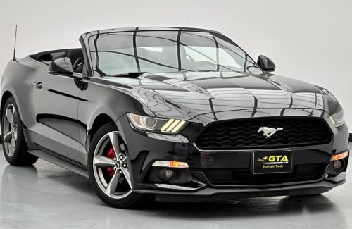 croppedImage_1765884428478_77