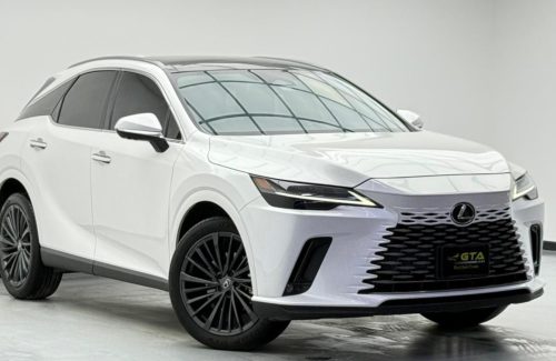 croppedImage_1766236599796_939