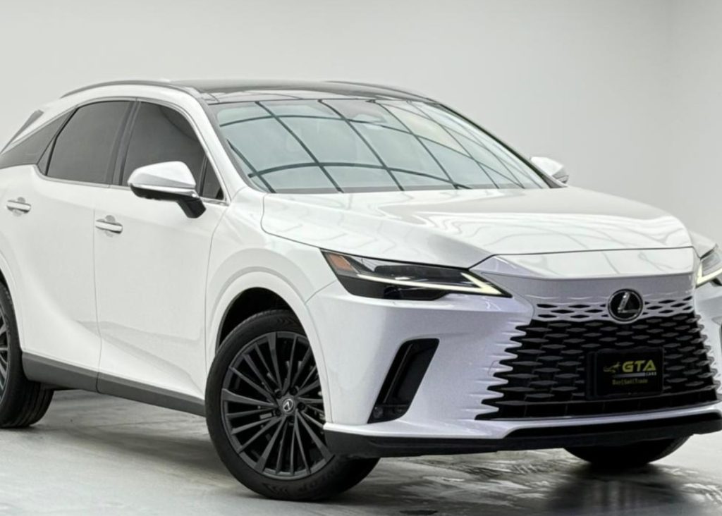 croppedImage_1766236599796_939