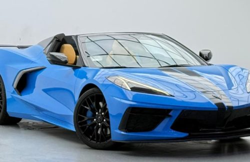 croppedImage_1769694193677_925