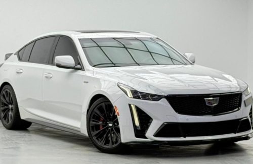 croppedImage_1770465112754_898