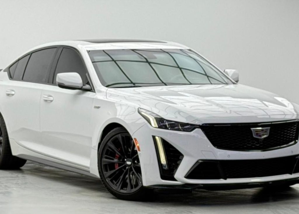 croppedImage_1770465112754_898