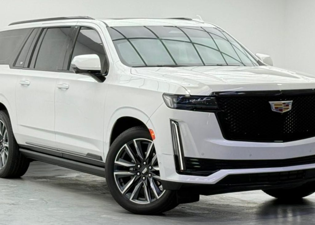 croppedImage_1770479725257_82