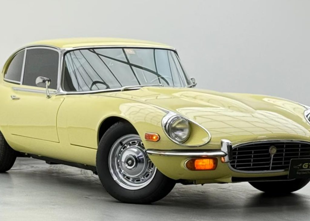 croppedImage_1773310188501_191