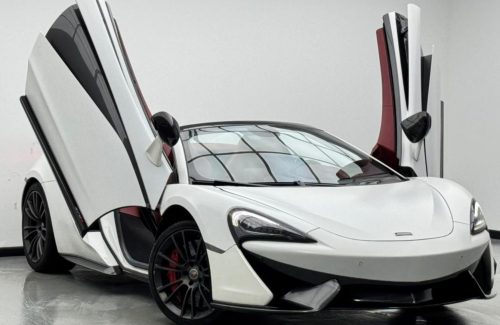 croppedImage_1774971081236_416