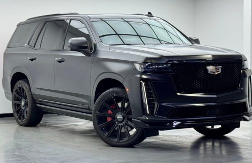 croppedImage_1775201958005_335