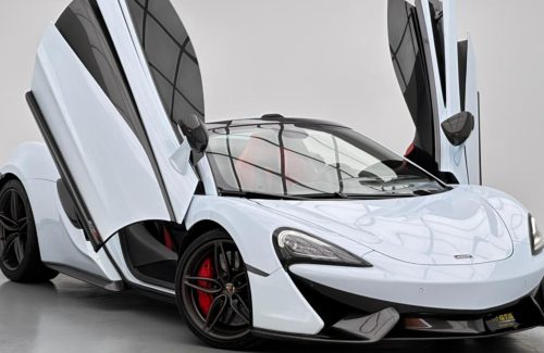 croppedImage_1777036217547_42